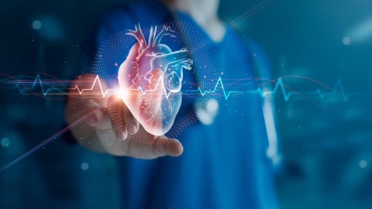 %d9%84%d9%82%d9%84%d8%a8 %d8%b5%d8%ad%d9%8a %d8%a5%d9%84%d9%8a%d9%83 7 %d8%a3%d8%b7%d8%b9%d9%85%d8%a9 %d8%ba%d9%86%d9%8a%d8%a9 %d8%a8%d8%a7%d9%84%d8%b9%d9%86%d8%a7%d8%b5%d8%b1 %d8%a7%d9%84%d8%ba