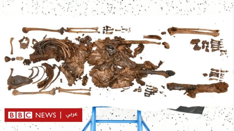 %d8%a8%d8%b9%d8%af 2000 %d8%b9%d8%a7%d9%85 %d8%b1%d9%81%d8%a7%d8%aa %d8%a8%d8%b4%d8%b1%d9%8a%d8%a9 %d8%aa%d9%83%d8%b4%d9%81 %d9%84%d8%ba%d8%b2 %d8%b0%d8%a8%d8%ad %d8%b4%d8%a7%d8%a8%d8%a9 %d9%81