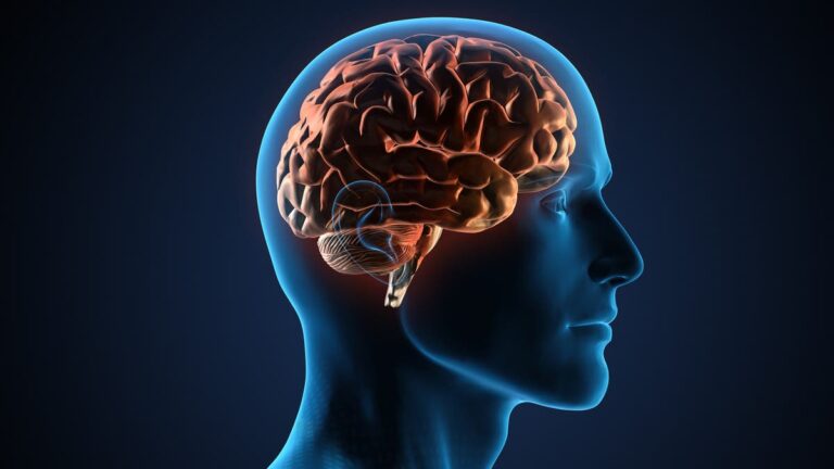 %d9%84%d9%805 %d8%af%d9%82%d8%a7%d8%a6%d9%82 %d9%8a%d9%88%d9%85%d9%8a%d8%a7%d9%8b %d9%81%d9%82%d8%b7 %d8%a3%d9%86%d8%b4%d8%b7%d8%a9 %d8%a8%d8%b3%d9%8a%d8%b7%d8%a9 %d9%82%d8%af %d8%aa%d8%b9%d8%b2