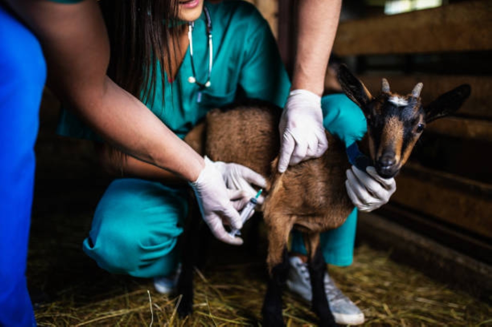 %d8%a5%d8%b7%d9%81%d8%a7%d8%a1 %d8%a2%d9%84%d9%8a %d9%88%d8%a5%d9%86%d8%b0%d8%a7%d8%b1 %d8%b5%d9%88%d8%aa%d9%8a %d8%a7%d8%b4%d8%aa%d8%b1%d8%a7%d8%b7%d8%a7%d8%aa %d8%ac%d8%af%d9%8a%d8%af%d8%a9 %d9%84