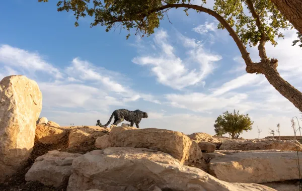 الرياض آرت بالتعاون مع السفارة الإيطالية يعلن عن اكتمال توزيع منحوتات الفنان العالمي دافيدي ريفالتا في الرياض