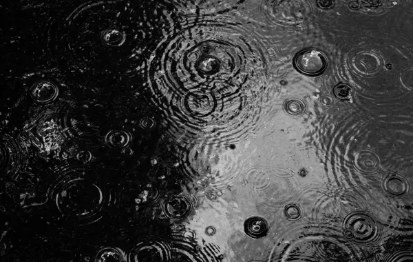 %d8%a7%d8%b3%d8%aa%d9%85%d8%b1%d8%a7%d8%b1 %d8%a7%d9%84%d8%ad%d8%a7%d9%84%d8%a9 %d8%a7%d9%84%d9%85%d8%b7%d8%b1%d9%8a%d8%a9 %d9%81%d9%8a %d8%a7%d9%84%d8%b3%d8%b9%d9%88%d8%af%d9%8a%d8%a9 %d8%ad%d8%aa