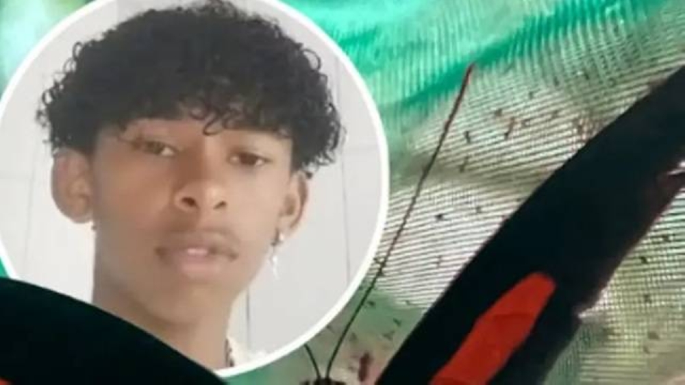 %d9%88%d9%81%d8%a7%d8%a9 %d8%b7%d9%81%d9%84 %d8%a8%d8%b1%d8%a7%d8%b2%d9%8a%d9%84%d9%8a %d8%ad%d9%82%d9%86 %d9%86%d9%81%d8%b3%d9%87 %d8%a8%d8%b3%d8%a7%d8%a6%d9%84 %d9%85%d8%b3%d8%aa%d8%ae%d9%84%d8%b5