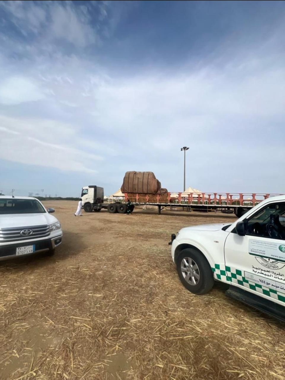 %d8%ad%d9%85%d9%84%d8%a7%d8%aa %d8%b1%d9%82%d8%a7%d8%a8%d9%8a%d8%a9 %d9%85%d9%83%d8%ab%d9%81%d8%a9 %d8%b9%d9%84%d9%89 %d8%a3%d8%b3%d9%88%d8%a7%d9%82 %d8%a7%d9%84%d9%85%d9%88%d8%a7%d8%b4%d9%8a %d9%81