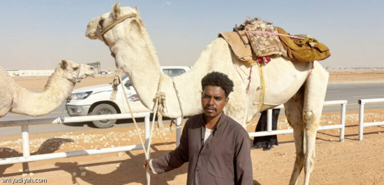 %d9%85%d9%87%d8%b1%d8%ac%d8%a7%d9%86 %d8%a7%d9%84%d9%87%d8%ac%d9%86 %d8%a7%d9%84%d8%ae%d8%a7%d8%b7%d9%81 %d9%8a%d9%8f%d8%ba%d9%8a%d8%b1 %d8%ad%d9%8a%d8%a7%d8%a9 %d8%a7%d9%84%d8%a8%d8%b4