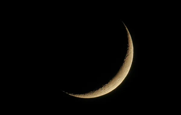 %d8%a7%d9%84%d8%b1%d8%a7%d8%a6%d9%8a %d8%b9%d8%a8%d8%af%d8%a7%d9%84%d9%84%d9%87 %d8%a7%d9%84%d8%ae%d8%b6%d9%8a%d8%b1%d9%8a %d9%8a%d9%83%d8%b4%d9%81 %d9%85%d9%88%d8%b9%d8%af %d8%ad%d9%84%d9%88%d9%84