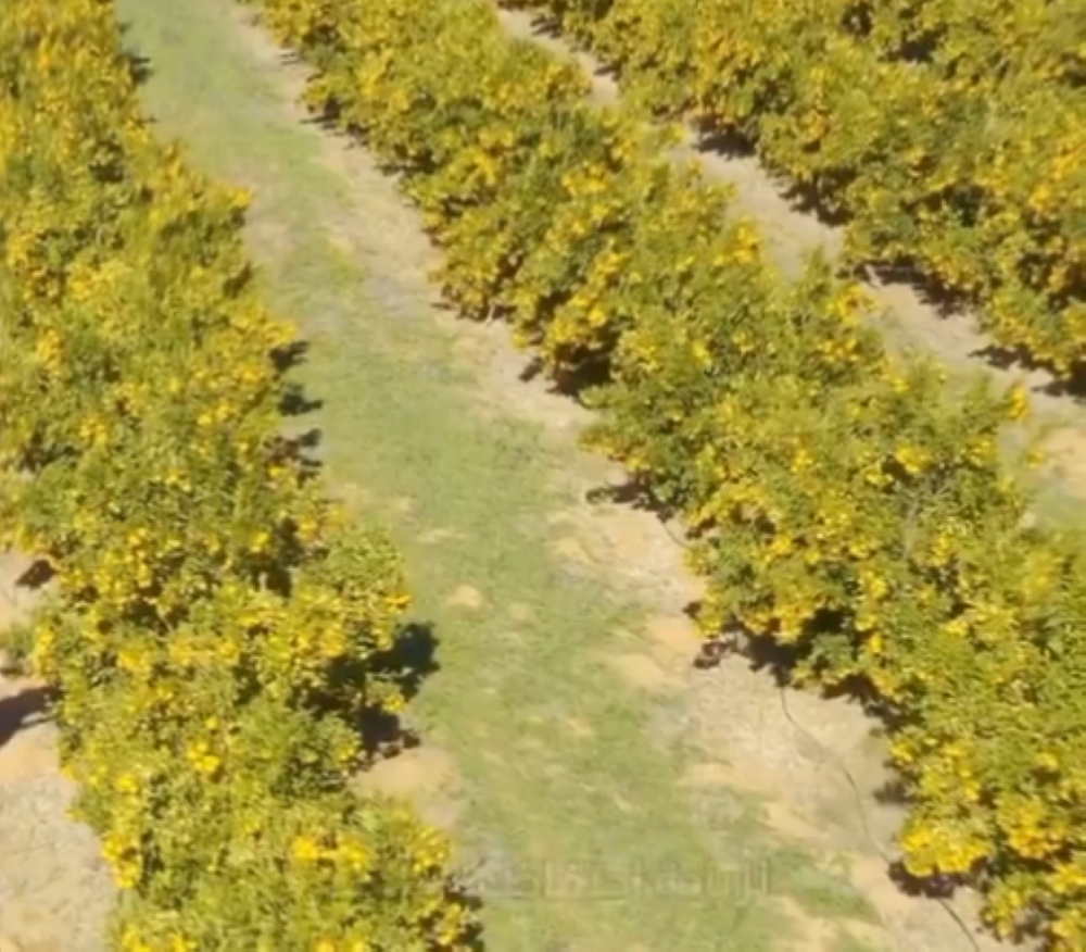 %d8%b6%d8%a8%d8%b7 3 %d9%85%d8%ae%d8%a7%d9%84%d9%81%d9%8a%d9%86 %d9%84%d9%86%d8%b8%d8%a7%d9%85 %d8%a7%d9%84%d8%a8%d9%8a%d8%a6%d8%a9 %d9%84%d8%ad%d8%b1%d9%82 %d9%85%d8%ae%d9%84%d9%81%d8%a7%d8%aa %d8%b9