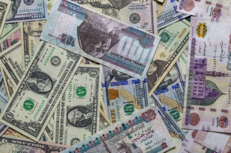 %d8%b3%d8%b9%d8%b1 %d8%a7%d9%84%d8%af%d9%88%d9%84%d8%a7%d8%b1 %d9%81%d9%8a %d9%85%d8%b5%d8%b1 %d9%85%d9%82%d8%a7%d8%a8%d9%84 %d8%a7%d9%84%d8%ac%d9%86%d9%8a%d9%87 %d8%a7%d9%84%d9%8a%d9%88%d9%85 %d8%a7