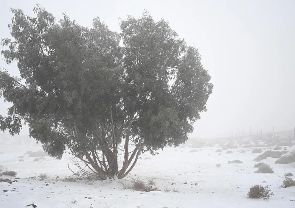 %d9%85%d9%86 %d8%a8%d9%8a%d9%86%d9%87%d8%a7 %d8%a7%d9%84%d8%b4%d8%b1%d9%82%d9%8a%d8%a9 %d9%85%d9%88%d8%ac%d8%a9 %d8%a8%d8%a7%d8%b1%d8%af%d8%a9 %d8%b9%d9%84%d9%89 %d8%a3%d8%ac%d8%b2%d8%a7%d8%a1