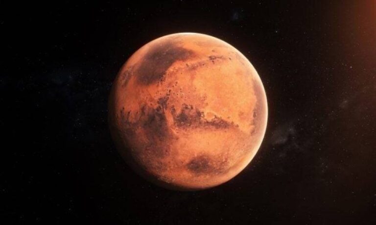 %d8%af%d8%b1%d8%a7%d8%b3%d8%a9 %d8%a7%d9%84%d9%85%d8%b1%d9%8a%d8%ae %d9%83%d8%a7%d9%86 %d9%8a%d8%b6%d9%85 %d8%b4%d9%88%d8%a7%d8%b7%d8%a6 %d9%88%d9%85%d8%ad%d9%8a%d8%b7%d8%a7%d8%aa