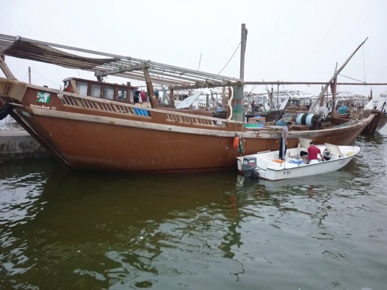 %d8%b1%d9%8a%d9%81 %d8%a7%d9%84%d8%b3%d8%b9%d9%88%d8%af%d9%8a%d8%a9 %d9%85%d9%84%d9%8a%d9%88%d9%86 %d8%b1%d9%8a%d8%a7%d9%84 %d8%af%d8%b9%d9%85 %d9%84%d8%a3%d9%84%d9%81%d9%8a%d9%86 %d8%b5%d9%8a