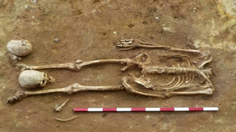 %d9%83%d8%b1%d9%88%d8%a7%d8%aa%d9%8a%d8%a7 %d8%a7%d9%84%d8%b9%d8%ab%d9%88%d8%b1 %d8%b9%d9%84%d9%89 %d9%82%d8%a8%d8%b1 %d9%85%d8%b5%d8%a7%d8%b5 %d8%af%d9%85%d8%a7%d8%a1