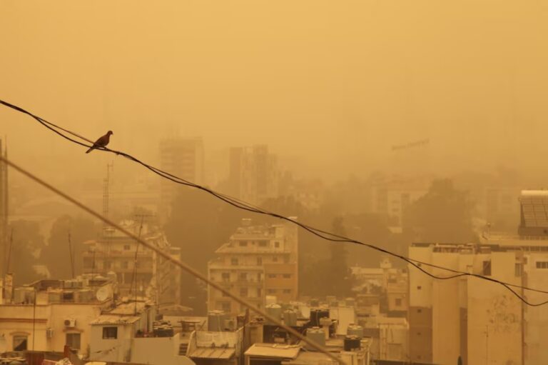 %d8%a8%d8%a7%d9%84%d8%a5%d9%86%d8%b0%d8%a7%d8%b1 %d8%a7%d9%84%d8%a3%d8%ad%d9%85%d8%b1 %d8%a7%d9%84%d8%a3%d8%b1%d8%b5%d8%a7%d8%af %d9%8a%d9%86%d8%a8%d9%87 %d9%85%d9%86 %d8%b9%d9%88%d8%a7%d8%b5%d9%81