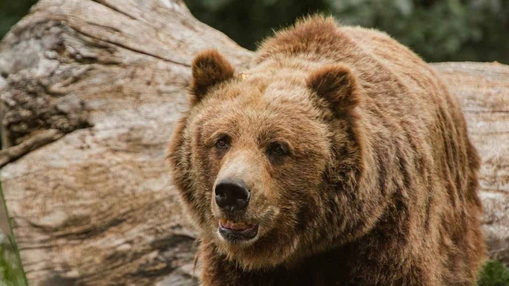 %d9%83%d9%8a%d9%81 %d9%86%d8%ac%d8%aa %d8%a3%d8%b3%d8%b1%d8%a9 %d8%b3%d9%84%d9%88%d9%81%d8%a7%d9%83%d9%8a%d8%a9 %d9%85%d9%86 %d9%87%d8%ac%d9%88%d9%85 %d8%af%d8%a8 %d8%9f