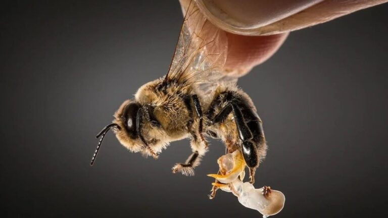 %d8%ac%d8%af%d9%8a%d8%af %d8%a7%d9%84%d8%b9%d9%84%d9%85 %d8%aa%d9%82%d9%86%d9%8a%d8%a9 %d8%a7%d9%84%d9%80 %d9%83%d9%8a%d9%88 %d8%a2%d8%b1 %d9%83%d9%88%d8%af %d9%84%d8%af%d8%b1%d8%a7%d8%b3%d8%a9