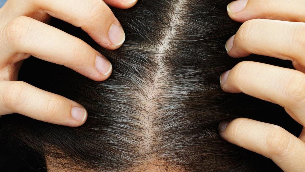 %d8%a8%d8%a7%d9%84%d8%b7%d8%b1%d9%8a%d9%82%d8%a9 %d8%a7%d9%84%d9%8a%d8%a7%d8%a8%d8%a7%d9%86%d9%8a%d8%a9 %d8%a3%d8%b7%d8%b9%d9%85%d8%a9 %d9%8a%d9%85%d9%83%d9%86 %d8%a3%d9%86 %d8%aa%d9%88%d9%82%d9%81