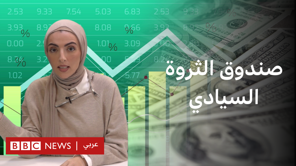 %d9%85%d8%a7 %d9%87%d9%88 %d8%b5%d9%86%d8%af%d9%88%d9%82 %d8%a7%d9%84%d8%ab%d8%b1%d9%88%d8%a9 %d8%a7%d9%84%d8%b3%d9%8a%d8%a7%d8%af%d9%8a %d8%a7%d9%84%d8%b0%d9%8a %d9%8a%d9%86%d9%88%d9%8a %d8%aa%d8%b1