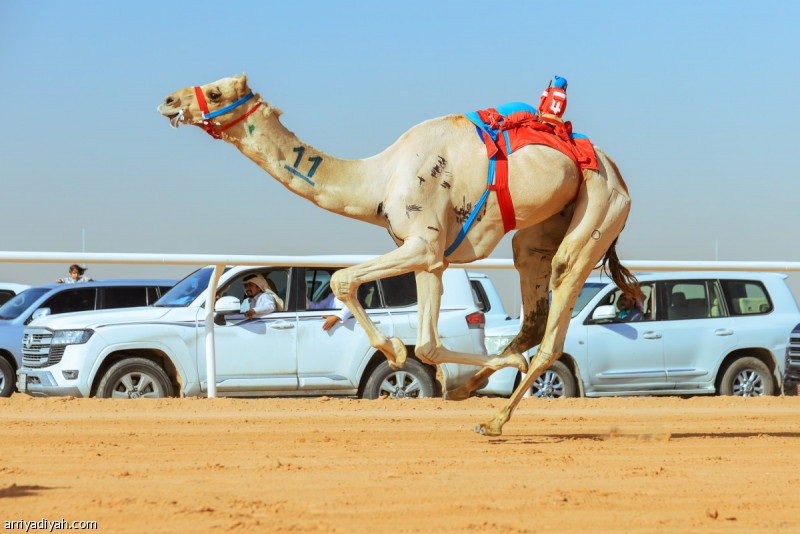 %d9%85%d9%87%d8%b1%d8%ac%d8%a7%d9%86 %d8%a7%d9%84%d9%87%d8%ac%d9%86 33 %d9%85%d9%84%d9%8a%d9%88%d9%86 %d9%85%d8%b4%d8%a7%d9%87%d8%af%d8%a9 %d9%8813 %d9%81%d8%b6%d8%a7%d8%a6%d9%8a%d8%a9 %d9%86%d8%a7