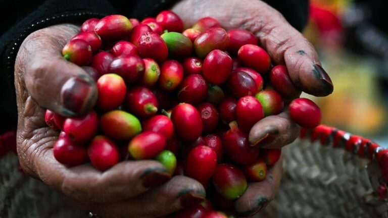 %d8%aa%d8%b5%d8%af%d9%8a%d8%b1 %d8%a3%d9%88%d9%84 %d8%b4%d8%ad%d9%86%d8%a9 %d9%82%d9%87%d9%88%d8%a9 %d8%b3%d8%b9%d9%88%d8%af%d9%8a%d8%a9 %d8%a5%d9%84%d9%89 %d8%a3%d9%88%d8%b1%d9%88%d8%a8%d8%a7