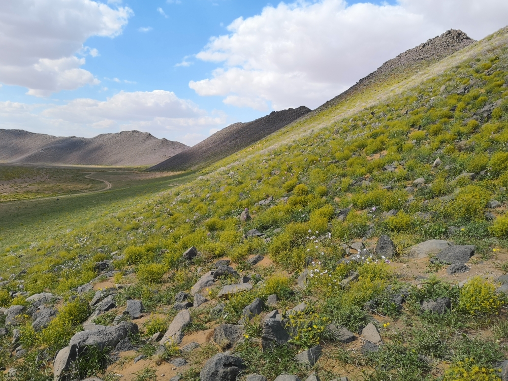 %d8%a7%d9%84%d8%a3%d8%b1%d9%86%d8%a8 %d8%a7%d9%84%d8%a8%d8%b1%d9%8a %d9%8a%d8%b9%d8%b4%d9%82 %d9%85%d9%86%d8%a7%d8%b7%d9%82 %d8%a7%d9%84%d8%ad%d9%81%d8%b8 %d8%a8%d9%85%d8%ad%d9%85%d9%8a%d8%a9 %d8%a7