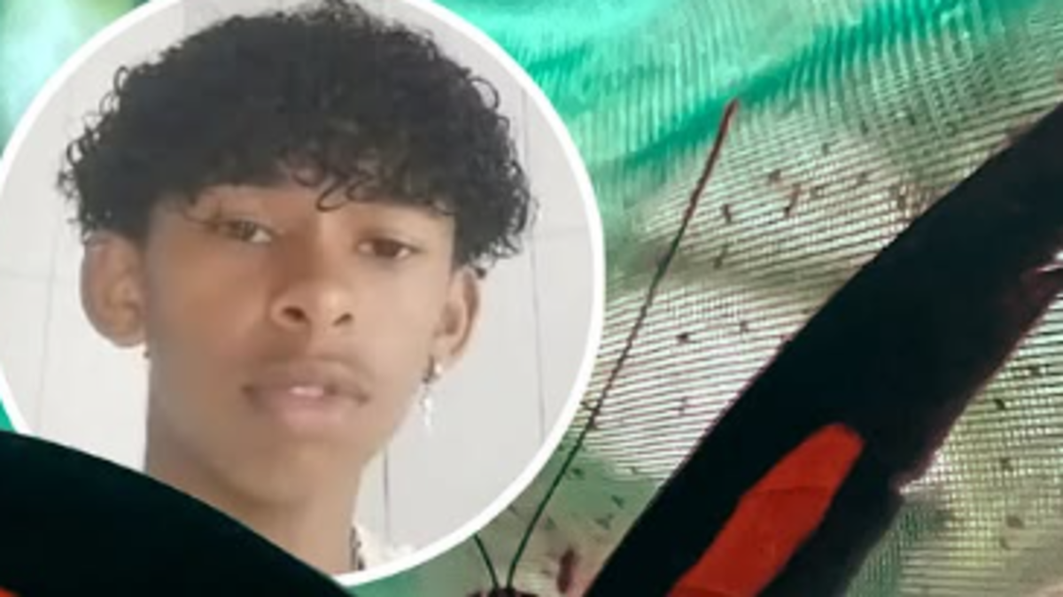 %d9%85%d8%b5%d9%8a%d8%b1 %d9%85%d8%b1%d8%b9%d8%a8 %d9%84%d9%81%d8%aa%d9%89 %d8%ad%d9%82%d9%86 %d9%86%d9%81%d8%b3%d9%87 %d8%a8%d8%a8%d9%82%d8%a7%d9%8a%d8%a7 %d9%81%d8%b1%d8%a7%d8%b4%d8%a9 %d9%81