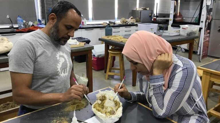 %d8%a7%d9%84%d8%b9%d8%ab%d9%88%d8%b1 %d8%b9%d9%84%d9%89 %d9%83%d8%a7%d8%a6%d9%86%d8%a7%d8%aa %d9%85%d9%81%d8%aa%d8%b1%d8%b3%d8%a9 %d9%88%d9%85%d9%86%d9%82%d8%b1%d8%b6%d8%a9 %d8%a7%d8%b3%d8%aa%d9%88