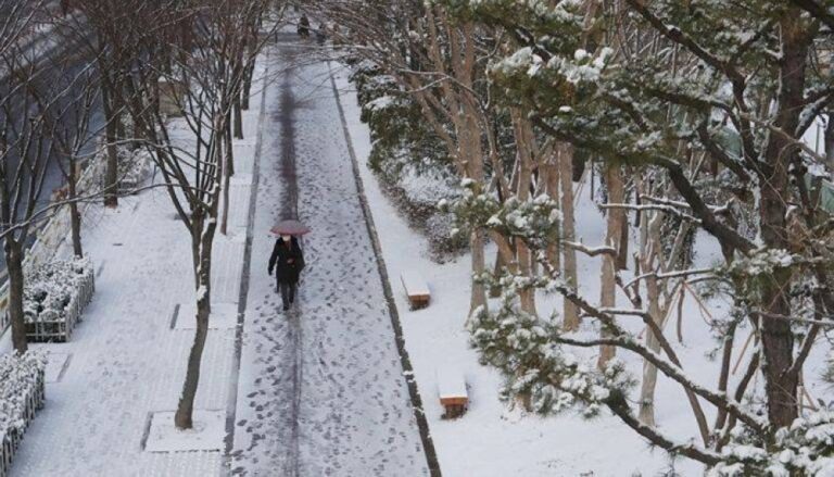 %d8%a7%d9%84%d8%b5%d9%82%d9%8a%d8%b9 %d9%8a%d8%b6%d8%b1%d8%a8 %d9%83%d9%88%d8%b1%d9%8a%d8%a7 %d8%a7%d9%84%d8%ac%d9%86%d9%88%d8%a8%d9%8a%d8%a9 %d8%a7%d9%84%d8%ad%d8%b1%d8%a7%d8%b1%d8%a9 20 %d8%af