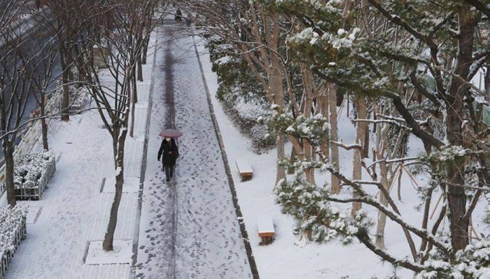 %d8%a7%d9%84%d8%b5%d9%82%d9%8a%d8%b9 %d9%8a%d8%b6%d8%b1%d8%a8 %d9%83%d9%88%d8%b1%d9%8a%d8%a7 %d8%a7%d9%84%d8%ac%d9%86%d9%88%d8%a8%d9%8a%d8%a9 %d8%a7%d9%84%d8%ad%d8%b1%d8%a7%d8%b1%d8%a9 20 %d8%af