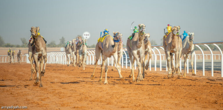 %d8%a7%d9%84%d8%a3%d8%ad%d8%af %d8%a7%d9%86%d8%b7%d9%84%d8%a7%d9%82 %d8%a3%d9%85%d8%b3%d9%8a%d8%a9 %d8%a7%d9%84%d8%a3%d8%af%d8%a8 %d9%88%d8%a7%d9%84%d9%81%d9%86%d9%88%d9%86 %d9%88%d8%a7%d9%84