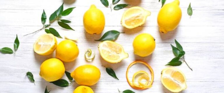 %d8%a3%d8%b6%d8%b1%d8%a7%d8%b1 %d9%83%d8%ab%d8%b1%d8%a9 %d8%a7%d9%84%d9%84%d9%8a%d9%85%d9%88%d9%86