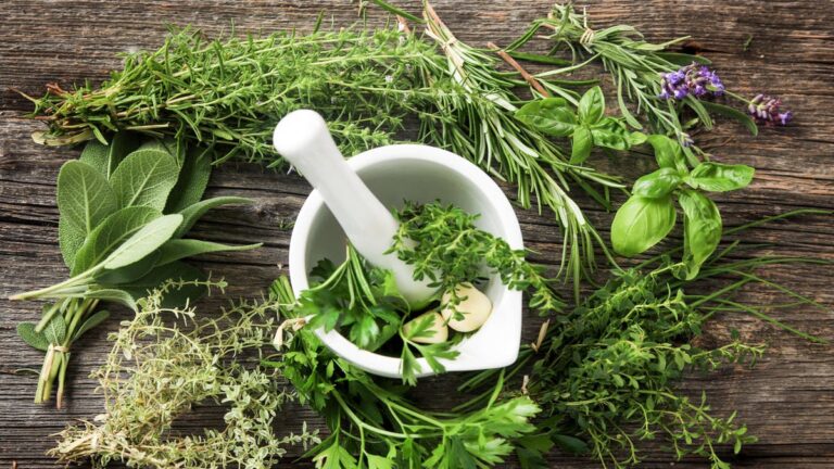 %d8%b9%d8%b4%d8%a8%d8%aa%d8%a7%d9%86 %d9%86%d8%b3%d8%aa%d8%ae%d8%af%d9%85%d9%87%d8%a7 %d8%a8%d8%b4%d9%83%d9%84 %d8%b4%d8%a7%d8%a6%d8%b9 %d9%82%d8%af %d8%aa%d8%b4%d9%83%d9%84%d8%a7%d9%86 %d8%b9%d9%84