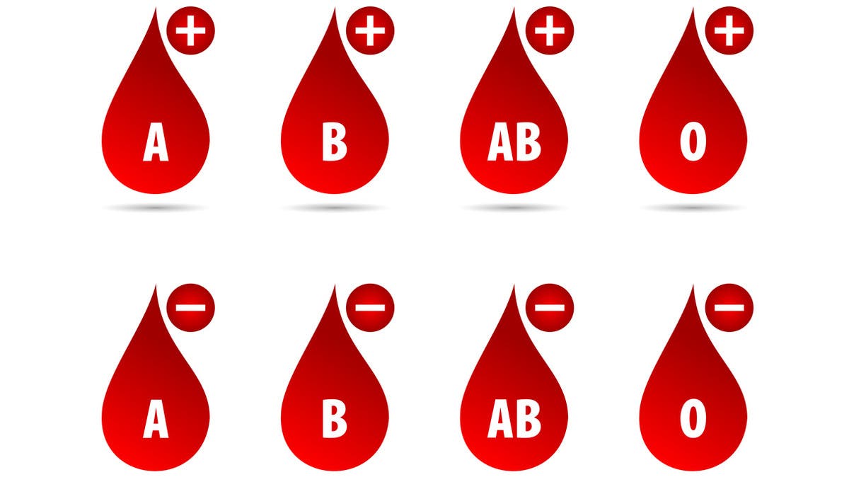 %d8%a7%d9%83%d8%aa%d8%b4%d8%a7%d9%81 %d8%ac%d8%af%d9%8a%d8%af %d9%81%d8%b5%d9%8a%d9%84%d8%a9 %d8%a7%d9%84%d8%af%d9%85 %d9%85%d8%a4%d8%b4%d8%b1 %d8%b9%d9%84%d9%89 %d8%ae%d8%b7%d8%b1 %d8%a7%d9%84