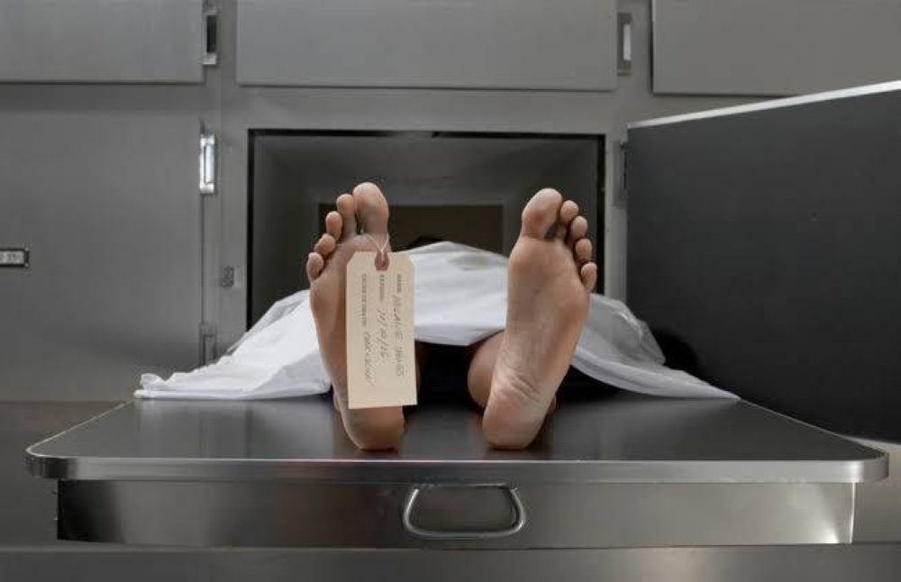 %d9%84%d8%ba%d8%b2 %d9%81%d9%8a%d9%84%d8%a7 %d8%a7%d9%84%d8%b4%d9%8a%d8%ae %d8%b2%d8%a7%d9%8a%d8%af %d9%87%d9%84 %d9%82%d9%8f%d8%aa%d9%84 %d9%85%d8%af%d9%8a%d8%b1 %d8%b4%d8%b1%d9%83