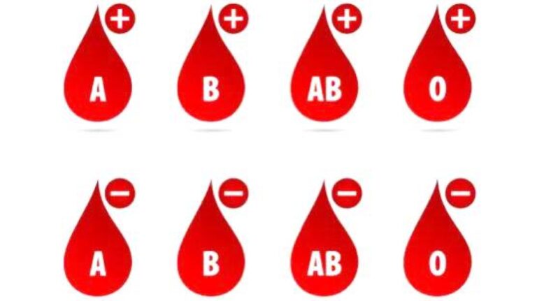 %d9%81%d8%b5%d9%8a%d9%84%d8%a9 %d8%af%d9%85%d9%83 %d8%aa%d8%ad%d8%af%d8%af %d8%ae%d8%b7%d8%b1 %d8%a7%d9%84%d8%a5%d8%b5%d8%a7%d8%a8%d8%a9 %d8%a8%d8%a7%d9%84%d8%b3%d9%83%d8%aa%d8%a9 %d8%a7%d9%84%d9%85