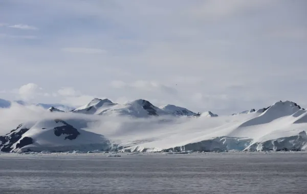 %d9%83%d8%a7%d9%88%d8%b3%d8%aa %d8%aa%d9%82%d9%88%d8%af %d8%a3%d9%88%d9%84 %d8%a8%d8%b9%d8%ab%d8%a9 %d8%b9%d9%84%d9%85%d9%8a%d8%a9 %d8%b3%d8%b9%d9%88%d8%af%d9%8a%d8%a9 %d8%a5%d9%84%d9%89 %d8%a7%d9%84