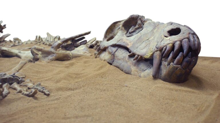 %d8%a7%d9%83%d8%aa%d8%b4%d8%a7%d9%81 %d8%a3%d9%82%d8%af%d9%85 %d8%af%d9%8a%d9%86%d8%a7%d8%b5%d9%88%d8%b1 %d8%a8%d8%a7%d9%84%d8%b9%d8%a7%d9%84%d9%85 %d9%81%d9%8a %d8%a7%d9%84%d9%85%d8%ba%d8%b1%d8%a8