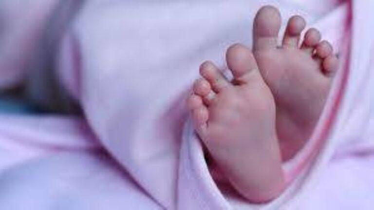 %d9%83%d9%84%d8%a8 %d8%b6%d8%a7%d9%84 %d9%8a%d9%82%d8%b6%d9%8a %d8%b9%d9%84%d9%89 %d8%b1%d8%b6%d9%8a%d8%b9 %d8%aa%d8%b1%d9%83%d8%aa%d9%87 %d9%88%d8%a7%d9%84%d8%af%d8%aa%d9%87 %d8%a3%d9%85%d8%a7%d9%85