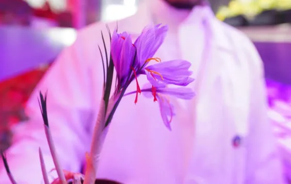 %d8%a7%d9%84%d8%b3%d8%b9%d9%88%d8%af%d9%8a%d8%a9 %d8%aa%d8%b7%d9%88%d8%b1 %d8%aa%d9%82%d9%86%d9%8a%d8%a7%d8%aa %d9%85%d8%a8%d8%aa%d9%83%d8%b1%d8%a9 %d9%84%d8%b2%d8%b1%d8%a7%d8%b9%d8%a9 %d8%a7%d9%84