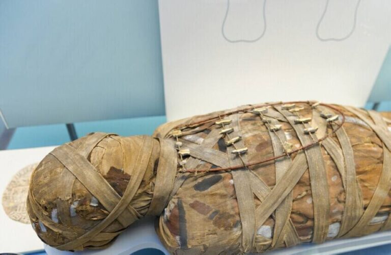 %d9%81%d9%83 %d9%84%d8%ba%d8%b2 %d9%85%d9%88%d9%85%d9%8a%d8%a7%d8%a1 %d8%a7%d9%84%d8%b3%d9%8a%d8%af%d8%a9 %d8%a7%d9%84%d8%ba%d8%a7%d9%85%d8%b6%d8%a9