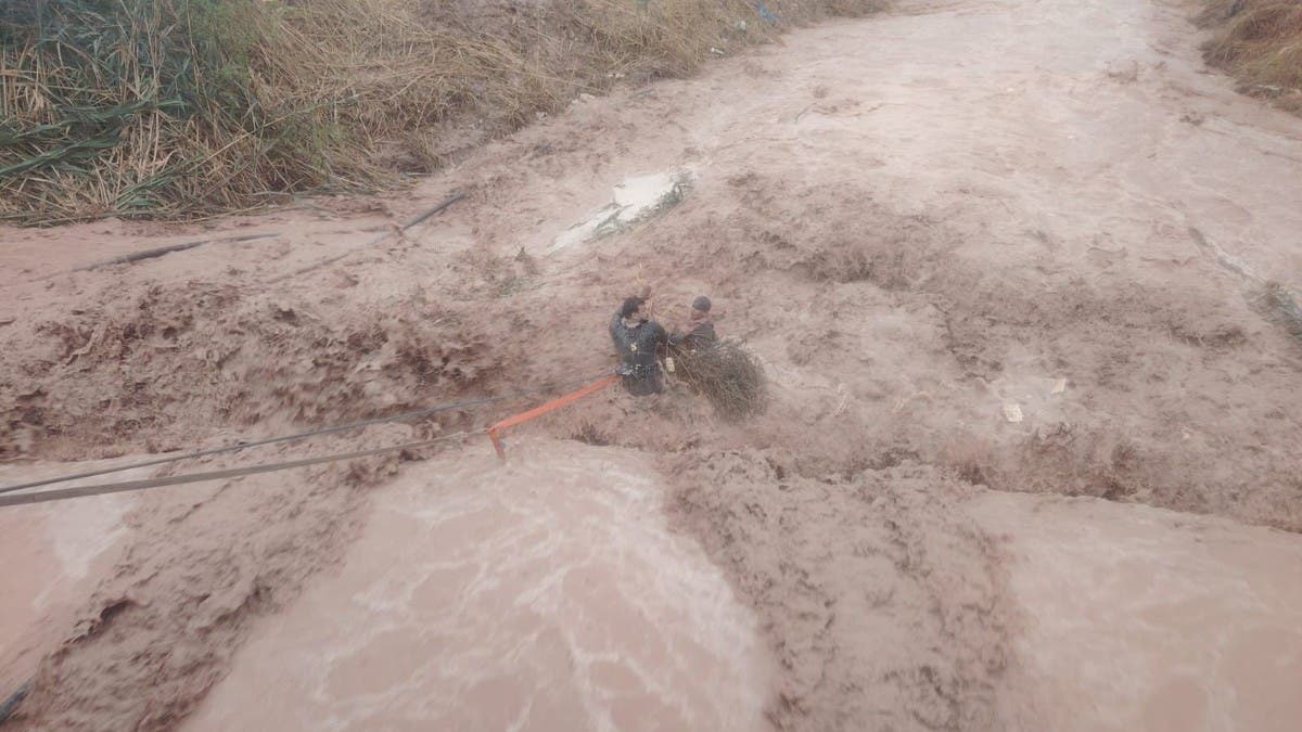 %d9%81%d9%8a%d8%af%d9%8a%d9%88 %d8%a7%d9%84%d8%b3%d9%8a%d9%88%d9%84 %d8%a8%d8%a7%d9%84%d8%a3%d8%b1%d8%af%d9%86 %d8%aa%d8%ae%d8%b7%d9%81 %d9%81%d8%aa%d8%a7%d8%a9 %d9%88%d8%a7%d9%84%d8%af%d9%81%d8%a7