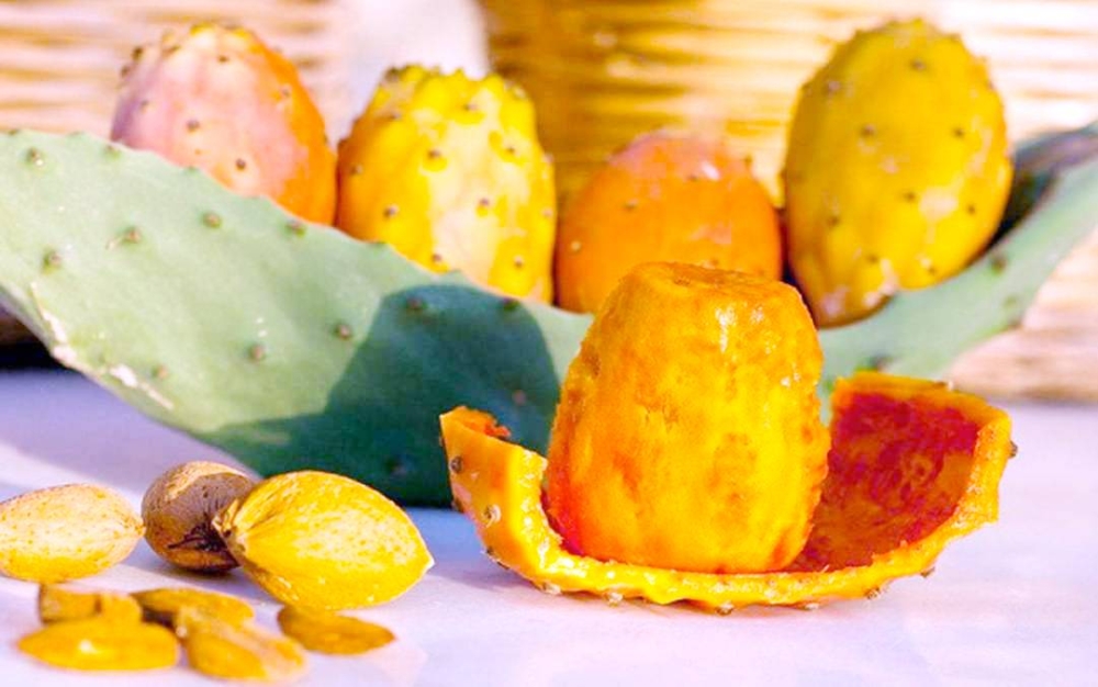 %d8%a3%d8%b6%d8%b1%d8%a7%d8%b1 %d9%83%d8%ab%d8%b1%d8%a9 %d8%a7%d9%84%d8%aa%d9%8a%d9%86 %d8%a7%d9%84%d8%b4%d9%88%d9%83%d9%8a