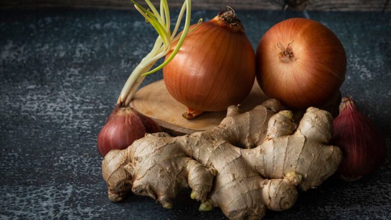 %d9%85%d9%86%d9%87%d8%a7 %d8%a7%d9%84%d8%b2%d9%86%d8%ac%d8%a8%d9%8a%d9%84 %d9%88%d8%a7%d9%84%d8%a8%d8%b5%d9%84 %d8%b9%d9%86%d8%a7%d8%b5%d8%b1 %d8%ba%d8%b0%d8%a7%d8%a6%d9%8a%d8%a9 %d9%85%d9%81%d9%8a