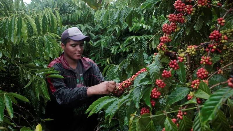 %d8%a3%d8%b3%d9%88%d8%a7%d9%82 %d8%a7%d9%84%d9%82%d9%87%d9%88%d8%a9 %d8%a3%d9%85%d8%a7%d9%85 %d8%a8%d9%8a%d8%a6%d8%a9 %d9%85%d8%b9%d9%82%d8%af%d8%a9 %d8%a8%d8%aa%d9%82%d9%84%d8%a8%d8%a7%d8%aa %d8%a7