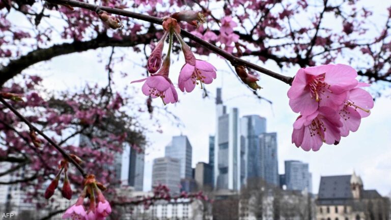 %d8%aa%d8%b1%d9%8a%d9%84%d9%8a%d9%88%d9%86 %d8%af%d9%88%d9%84%d8%a7%d8%b1 %d8%ad%d8%b2%d9%85%d8%a9 %d8%af%d8%b9%d9%85 %d8%a7%d9%82%d8%aa%d8%b5%d8%a7%d8%af%d9%8a %d9%88%d8%b9%d8%b3%d9%83%d8%b1%d9%8a