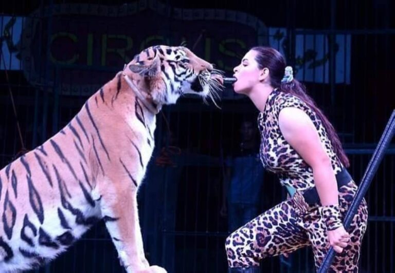 %d8%ad%d9%85%d9%8a%d8%b1 %d8%aa%d9%8f%d8%b0%d8%a8%d8%ad %d9%81%d9%8a %d8%a7%d9%84%d8%ae%d9%81%d8%a7%d8%a1 %d9%84%d8%a5%d8%b7%d8%b9%d8%a7%d9%85 %d8%a7%d9%84%d9%88%d8%ad%d9%88%d8%b4 %d9%85