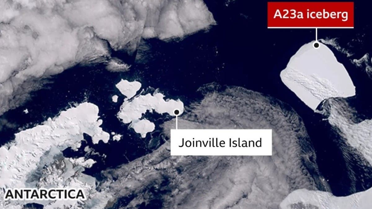 %d8%a3%d9%83%d8%a8%d8%b1 %d8%ac%d8%a8%d9%84 %d8%ac%d9%84%d9%8a%d8%af%d9%8a %d9%81%d9%8a %d8%a7%d9%84%d8%b9%d8%a7%d9%84%d9%85 %d9%8a%d8%aa%d8%ad%d8%b1%d9%83 %d9%88%d9%8a%d9%87%d8%af%d8%af %d8%a8%d9%83