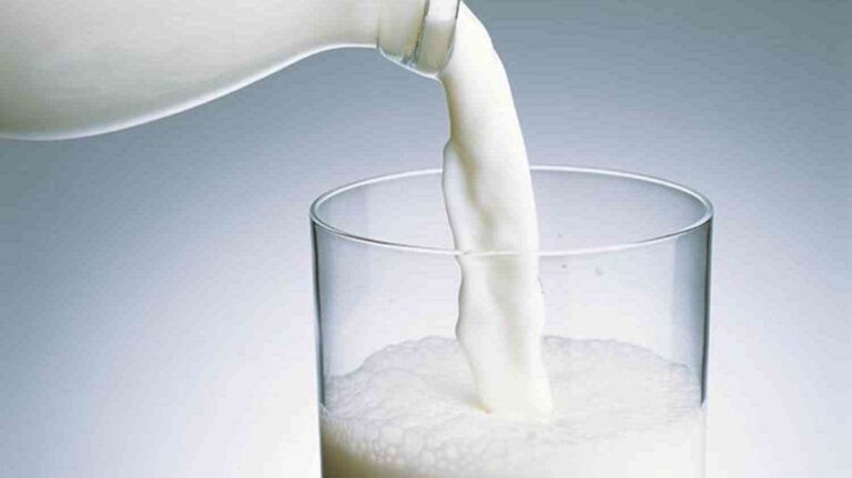 %d8%ae%d8%a8%d8%b1%d8%a7%d8%a1 %d8%aa%d8%ba%d8%b0%d9%8a%d8%a9 %d9%8a%d8%ad%d8%af%d8%af%d9%88%d9%86 %d8%a3%d9%81%d8%b6%d9%84 %d8%a3%d9%86%d9%88%d8%a7%d8%b9 %d8%a7%d9%84%d8%ad%d9%84%d9%8a%d8%a8 %d9%88