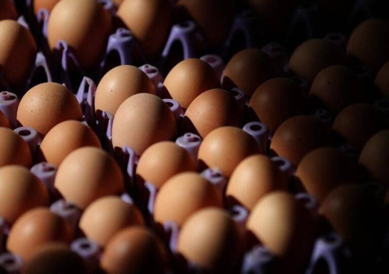 %d8%a7%d9%84%d8%a8%d9%8a%d8%b6 %d9%8a%d8%b6%d8%b9 %d8%a5%d8%af%d8%a7%d8%b1%d8%a9 %d8%aa%d8%b1%d9%85%d8%a8 %d9%81%d9%8a %d9%85%d8%a3%d8%b2%d9%82 %d9%83%d8%a8%d9%8a%d8%b1 %d9%85%d8%a7