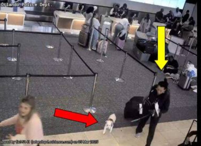 %d8%a7%d9%85%d8%b1%d8%a3%d8%a9 %d8%aa%d8%ba%d8%b1%d9%82 %d9%83%d9%84%d8%a8%d9%87%d8%a7 %d9%81%d9%8a %d8%a7%d9%84%d9%85%d8%b1%d8%ad%d8%a7%d8%b6 %d9%84%d8%b9%d8%af%d9%85 %d8%b5%d8%b9%d9%88%d8%af%d9%87