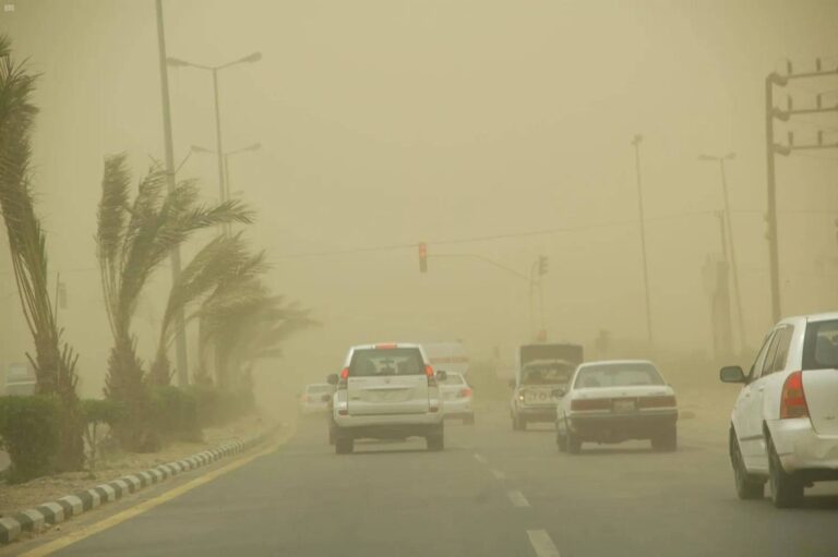 %d9%85%d8%a8%d8%a7%d8%af%d8%b1%d8%a9 %d8%a7%d9%84%d8%b3%d8%b9%d9%88%d8%af%d9%8a%d8%a9 %d8%a7%d9%84%d8%ae%d8%b6%d8%b1%d8%a7%d8%a1 %d8%aa%d8%aa%d8%b1%d8%a7%d8%ac%d8%b9 %d8%a8%d8%a7%d9%84